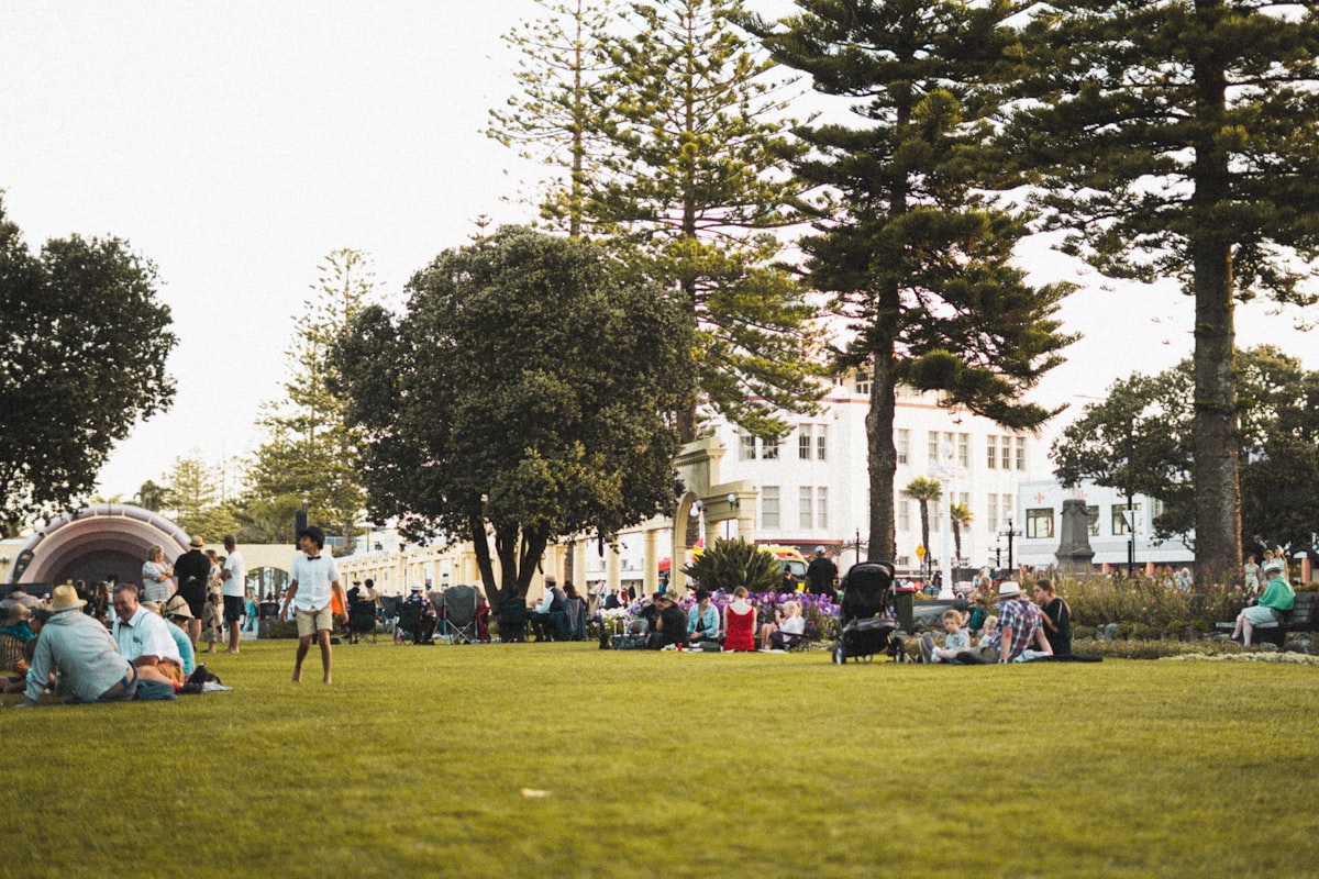 People gathered on a grassy park lawn near trees
